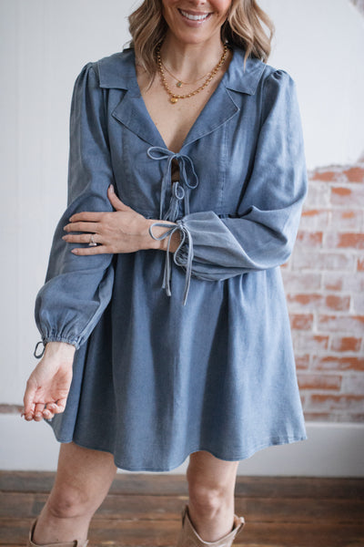 Beverly Denim Mini Dress