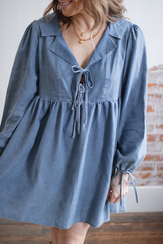 Beverly Denim Mini Dress