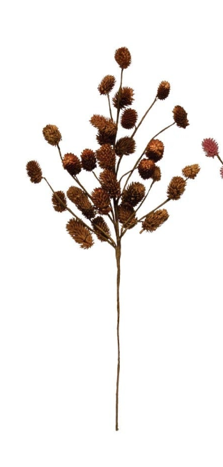 Dried Natural Thistle Pick