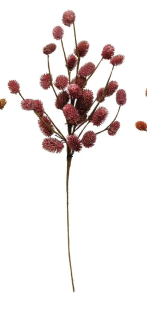 Dried Natural Thistle Pick