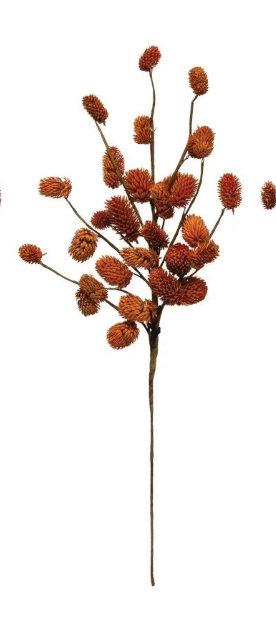 Dried Natural Thistle Pick