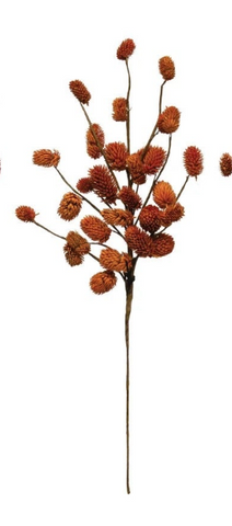 Dried Natural Thistle Pick