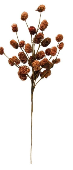 Dried Natural Thistle Pick