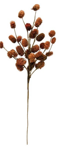 Dried Natural Thistle Pick